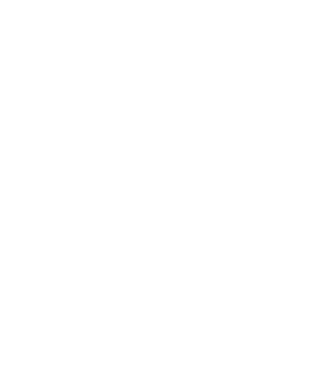 Panda Inn logo